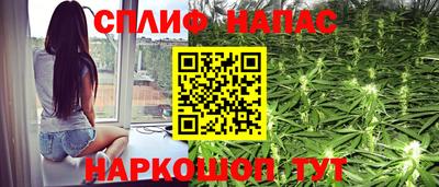 прущие грибы Когалым