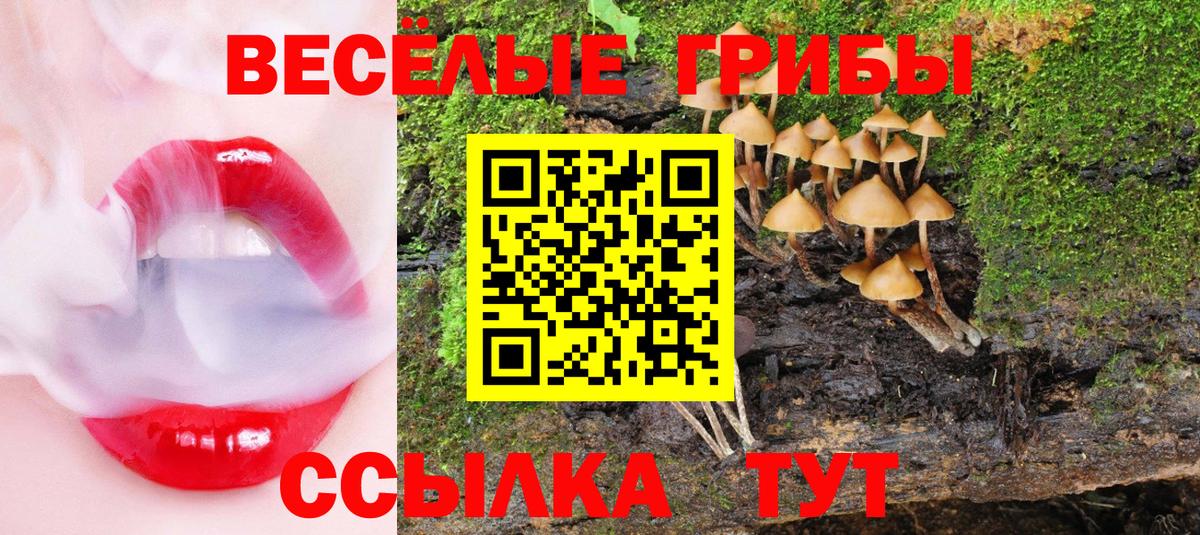 Псилоцибиновые грибы ЛСД  Вход с VPN  Галлюциногенные грибы Magic Shrooms  Ликино-Дулёво 